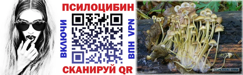 Галлюциногенные грибы ЛСД  Дрезна 